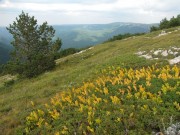 Поляны на северном склоне Ангар-Бурун